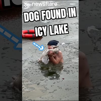 Heroic Man Dives Into Icy Water To Save Dog