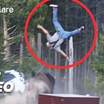 Bison Attacks Tourist At Yellowstone  – FULL VIDEO