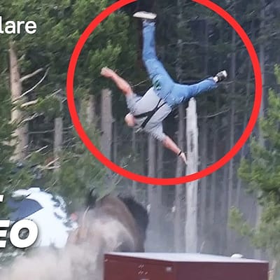 Bison Attacks Tourist At Yellowstone  – FULL VIDEO