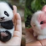 AWW! Cutest Baby Animals Ever 🐶🐱 | Funny & Cute Moments Compilation #1