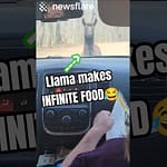Llamas Trick For Infinite Food