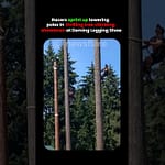 Racers Climb Up Tree In Ultimate Showdown
