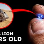 Scientists Found a Piece of a Lost Planet in the Sahara