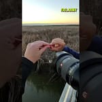 She said yes, gravity said no 💍 #empirestatebuilding #proposal #nyc #fail #shesaidyes