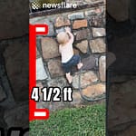 Toddler Found Climbing 4.1/2ft Wall