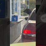 What Is The Dog Waiting For?