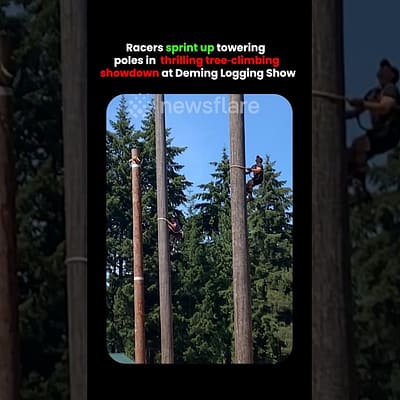 Racers Climb Up Tree In Ultimate Showdown