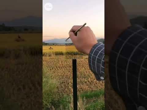 Painter creates amazing optical illusions using perspective art | USA TODAY #Shorts