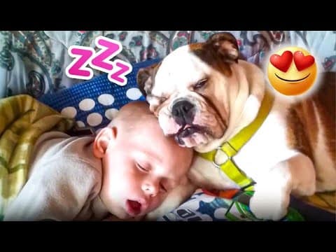 Best Videos of the Week ?