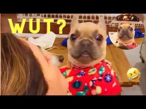 Hilarious Yet Heartwarming Moments