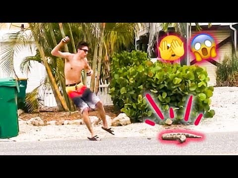 Laughter Marathon ?