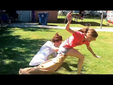 Funniest Summer Wipeouts || Hilarious Fails Under the Sun! ??