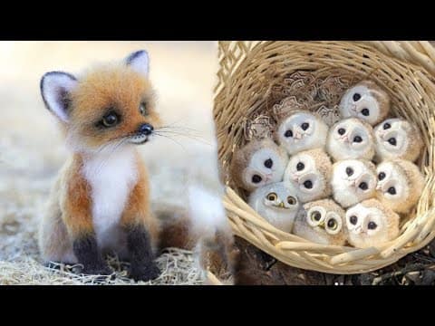 Cute Baby Animals Videos Compilation | Funny and Cute Moment of the Animals #29 – Cutest Animals