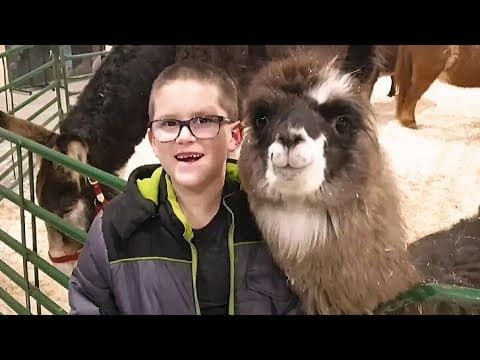 π΄ Ultimate Pranks, Scares and Fails | AFV Live