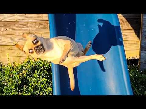 You Laugh, You Lose ๐ Funniest Fails