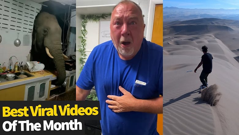 Top 25 Viral Videos Of The Month – June 2021