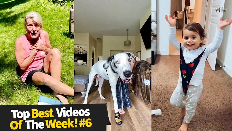 Top 8 Best Videos of The Week! #6