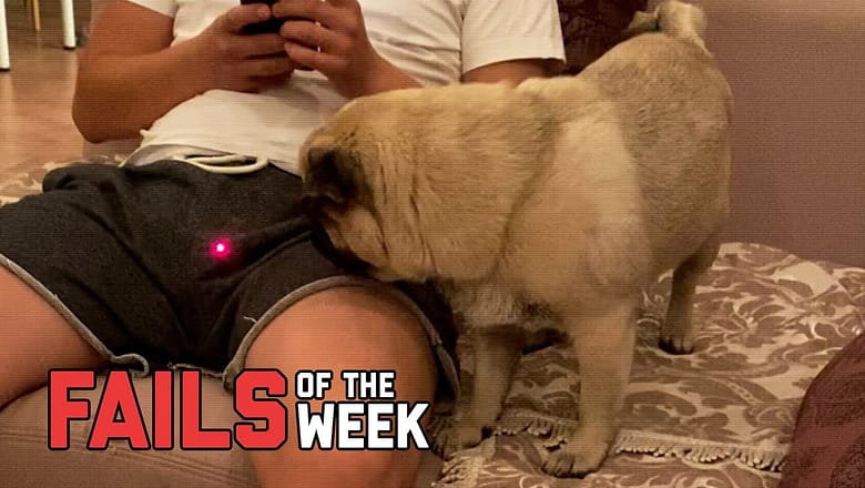 How to Make Your Friends Mad – Fails of the Week | FailArmy
