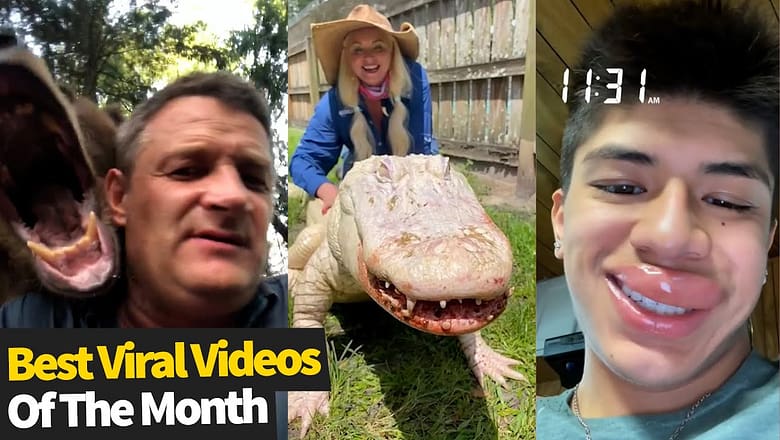 Top 25 BEST Viral Videos Of The Month – July 2021