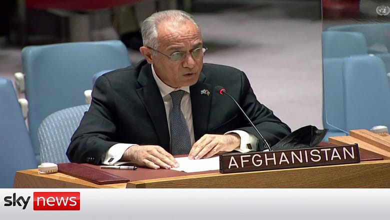 UN Afghanistan Representative calls for an ‘immediate cessation of violence’