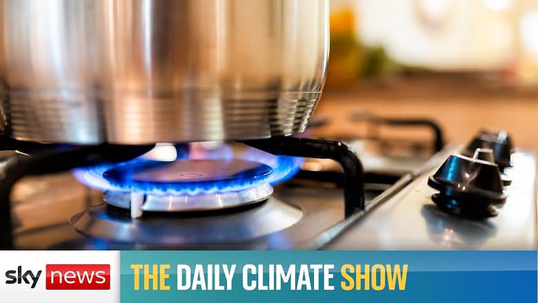 Are high gas prices a good thing for climate change?
