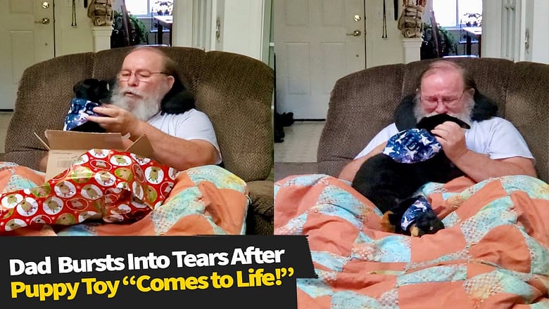 Dad Bursts Into Tears After Puppy Toy “Comes to Life”!