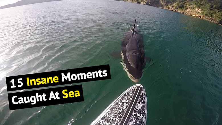 Top 15 Insane Moments Caught On Camera | Unbelieve Moments At Sea