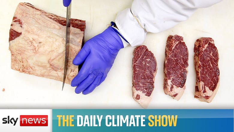 Watch the #DailyClimateShow live: Can Britain stomach artificial meat?