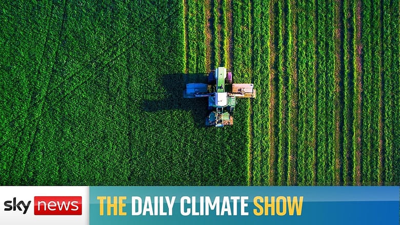 Would gene editing of crops be good for the planet?