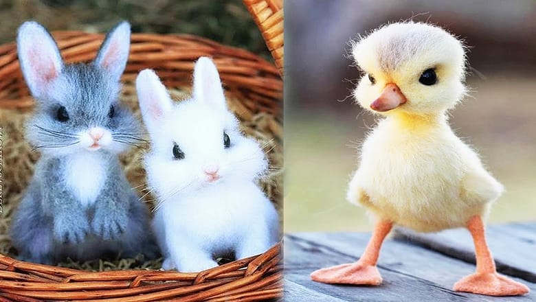 AWW SO CUTE! Cutest baby animals Videos Compilation Cute moment of the Animals – Cutest Animals #41