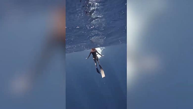 Free Diver Has a Close Encounter With a Baby Whale #shorts #diving
