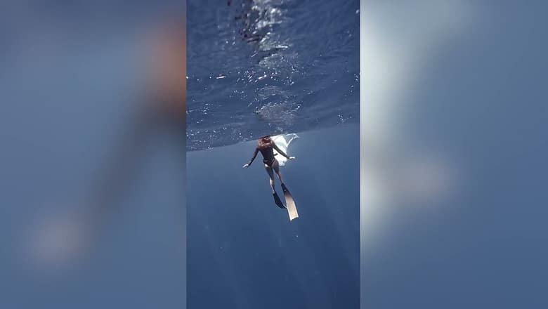 Free diver has a close encounter with a baby Whale!