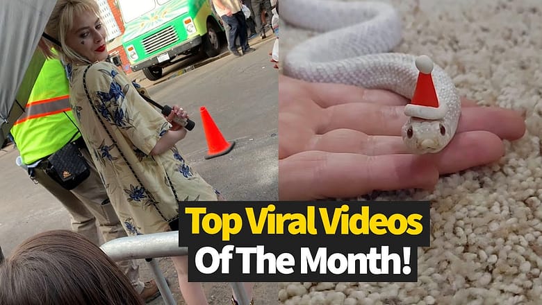 Top 30 Viral Videos Of The Month