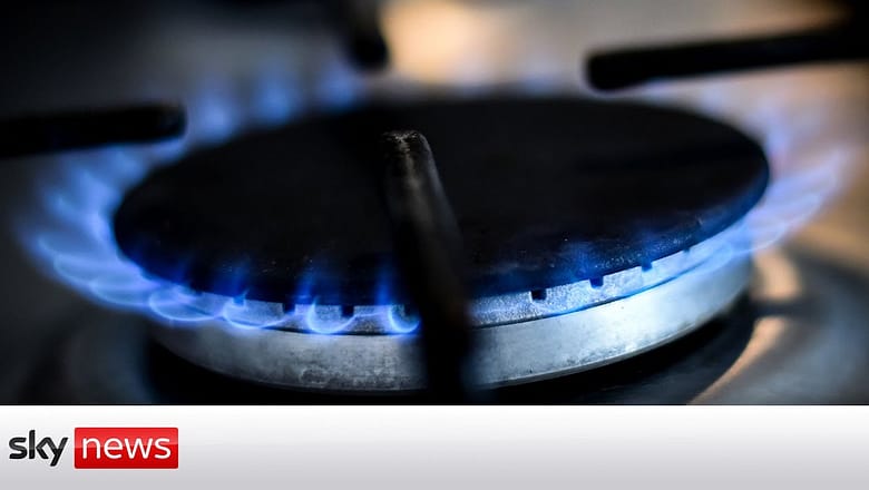 Tory MPs call for fuel tax axe as bills soar