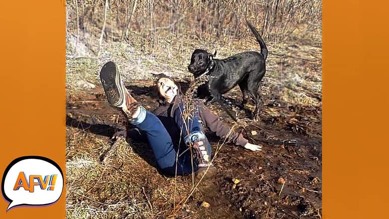 When Your Dog YOINKS You Into the FAIL! ? | Best Funny Fails | AFV 2022