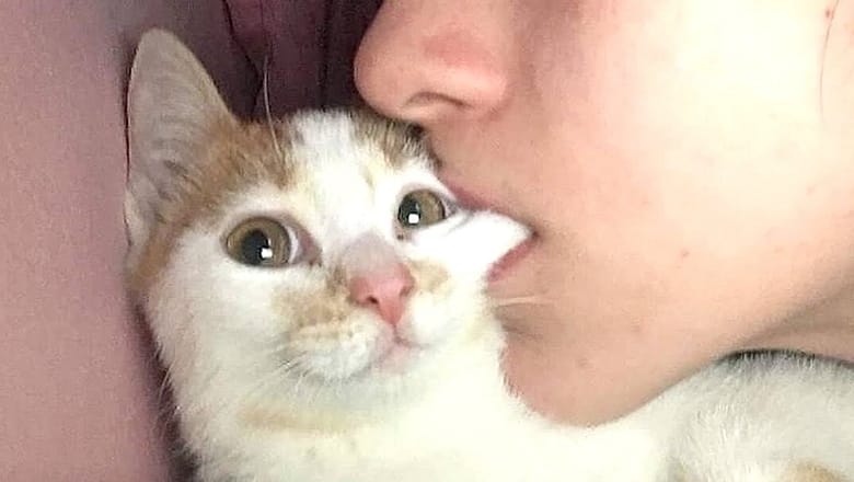 ANIMAL KISSES are just the BEST & CUTEST