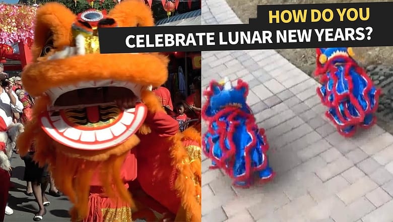 Chinese New Year 2022 Lion Dance