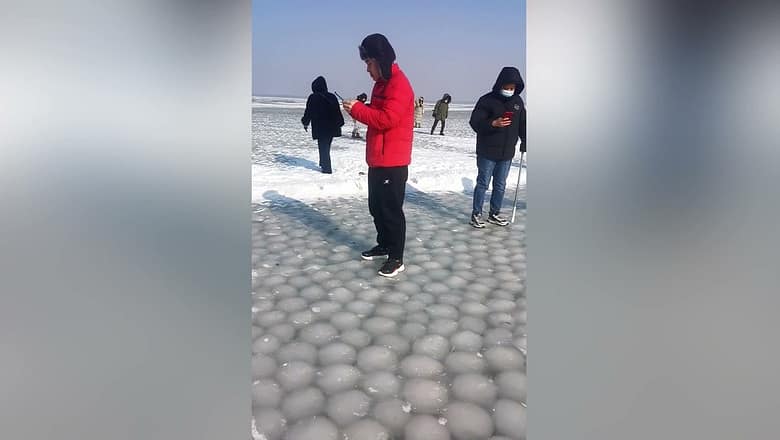 Huge Bubbles Of Ice Sit Underneath Frozen Lake