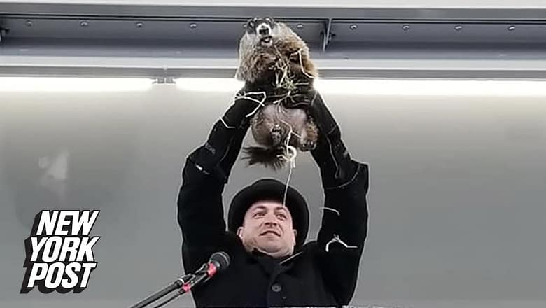 NJ’s weather predictor Milltown Mel dies just before Groundhog Day | New York Post