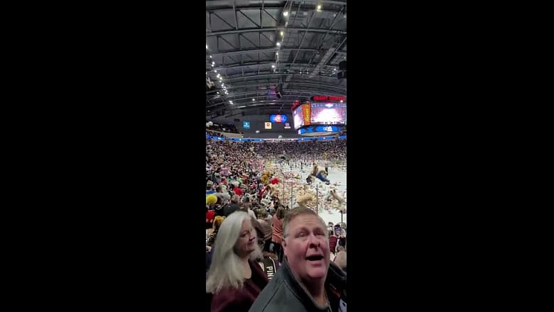 Teddy Bear Toss Breaks World Record At Hockey Game