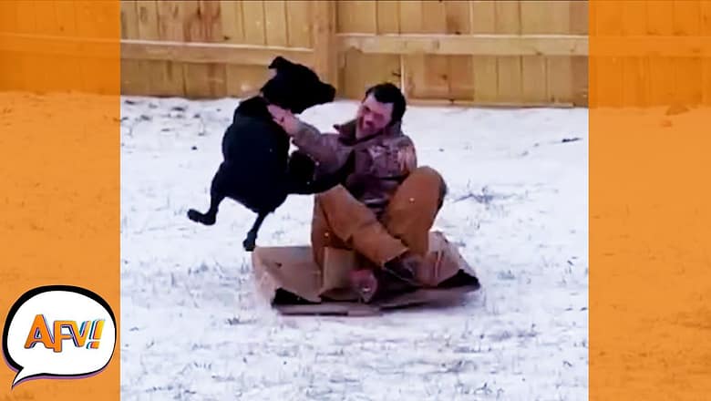 Just Some In Your Face FLYING FAILS! ? | Best Funny Fails | AFV 2022