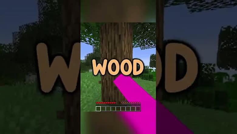 what if minecraft didn’t have wood…