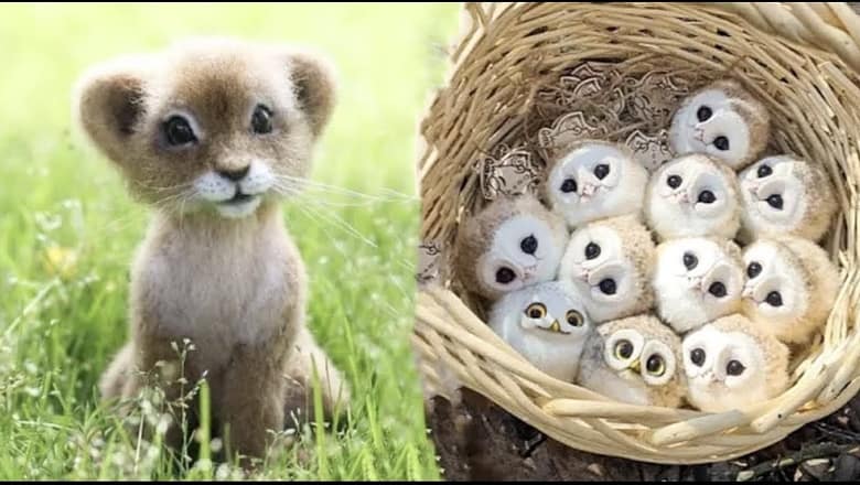 AWW SO CUTE! Cutest baby animals Videos Compilation Cute moment of the Animals – Cutest Animals #63