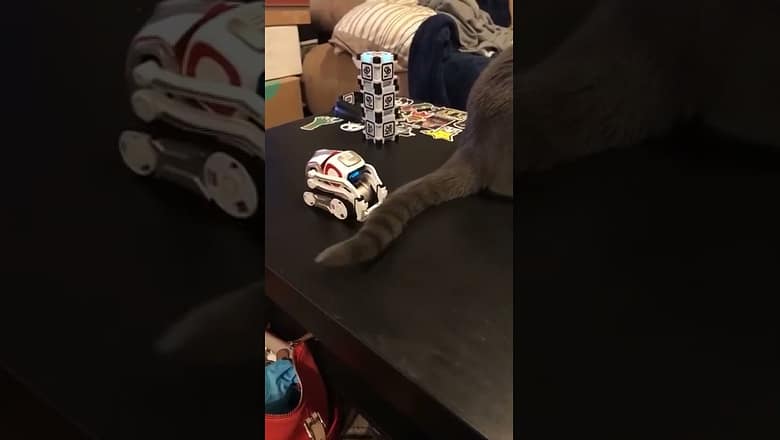 Robot Catching Cat Tail #shorts