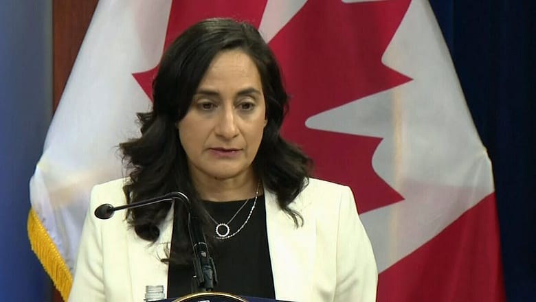 ‘Russia is testing the will of Canada’: Defense Minister Anita Anand on Ukraine war