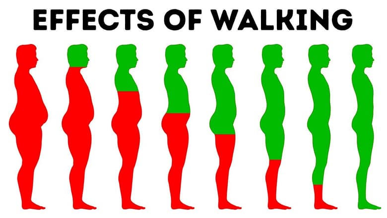 What Will Happen to Your Body If You Walk Every Day