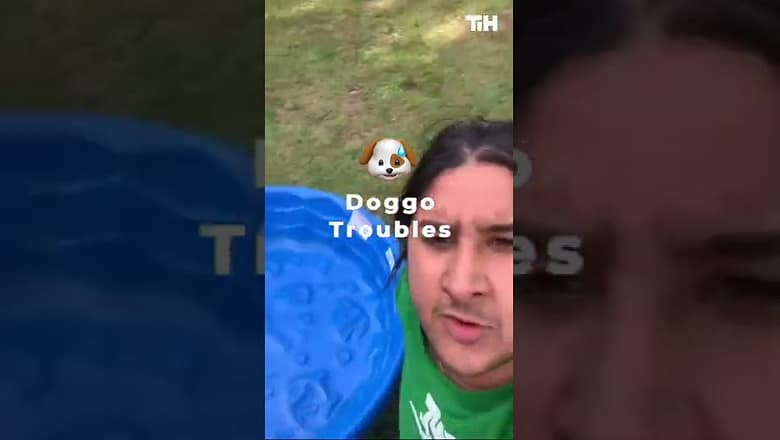 Dog Gives Owner Hard Time While They Attempt To Bathe Him