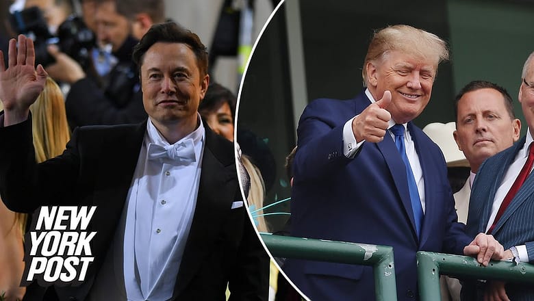 Elon Musk says he’ll reverse Trump’s Twitter ban | New York Post