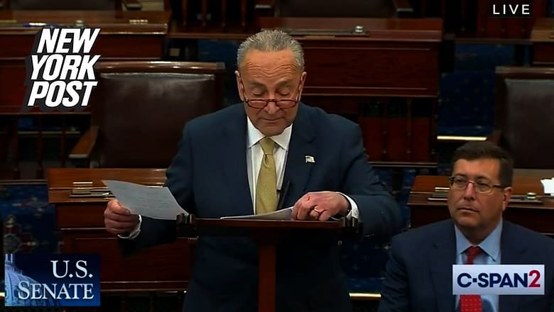 Gun safety bills will not immediately be taken up in Senate, Schumer indicates | New York Post