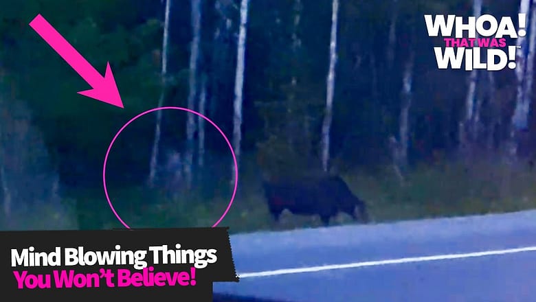 Mind Blowing Things You Won’t Be Able To Explain